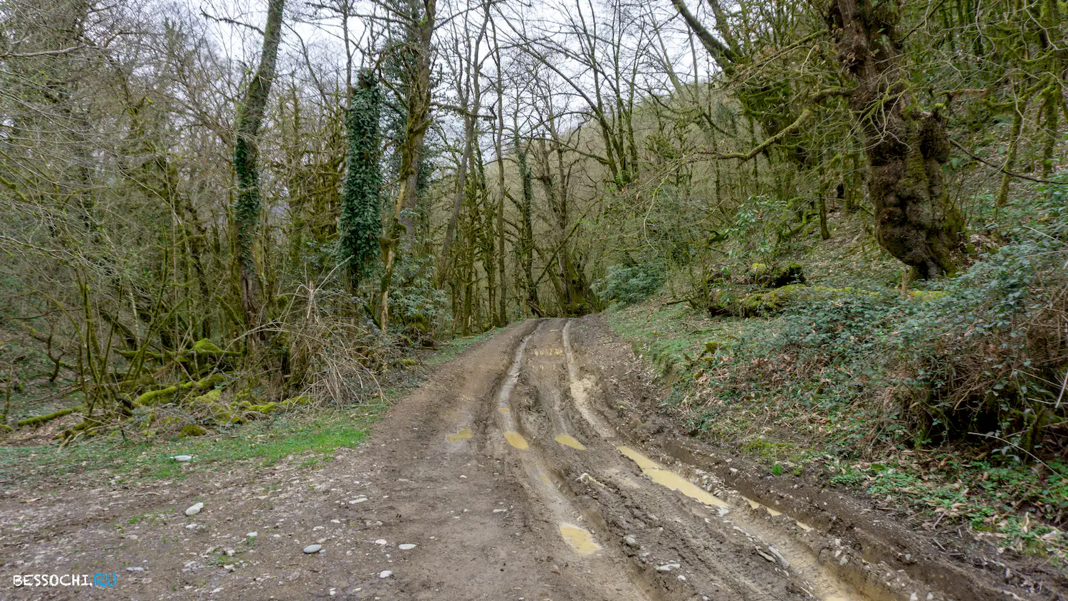 Райское наслаждение