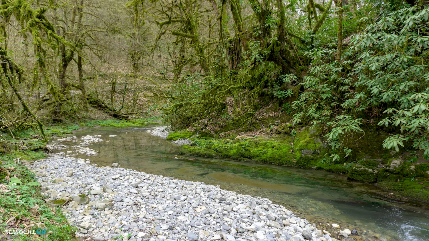Райское наслаждение