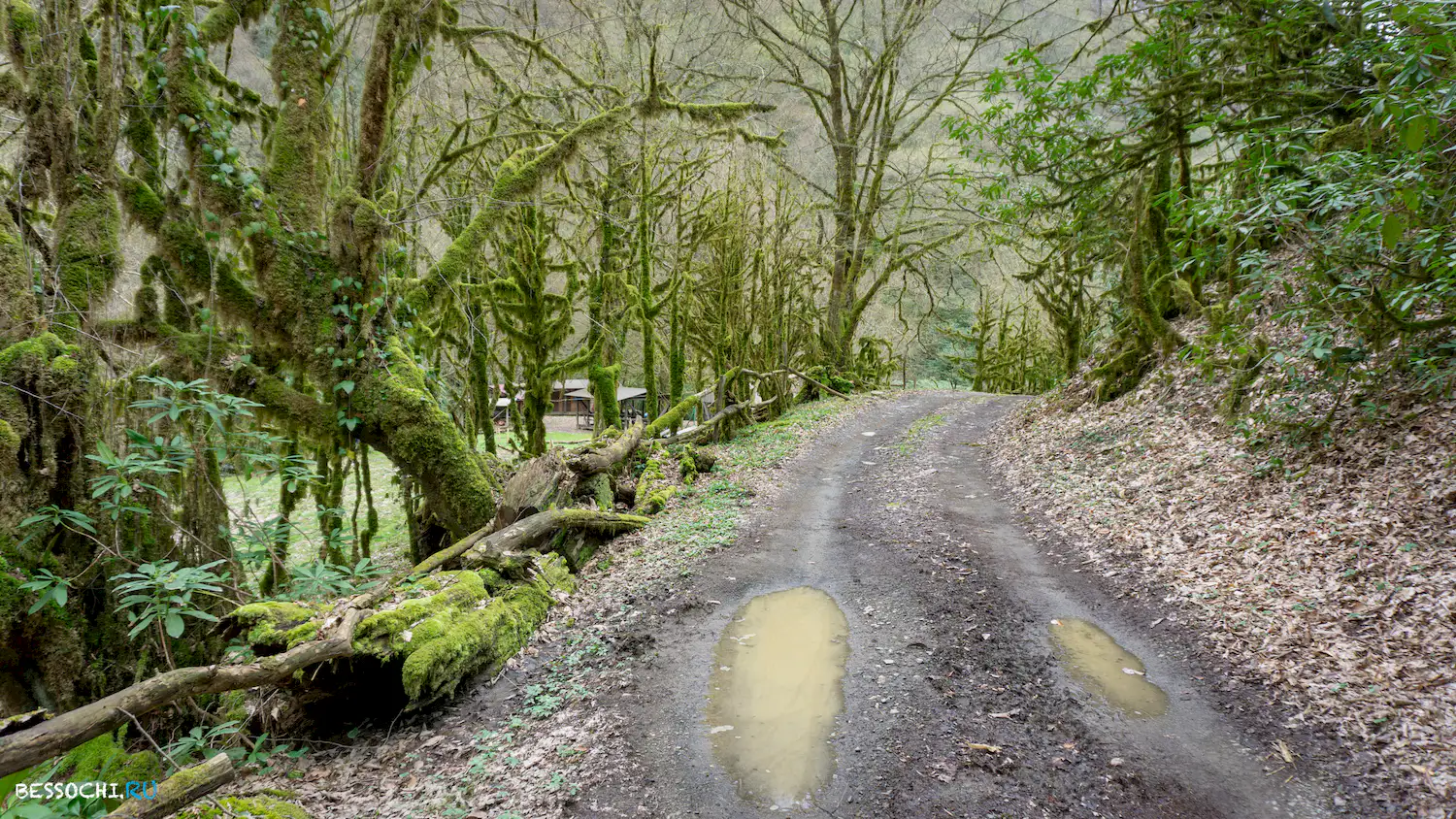 Райское наслаждение