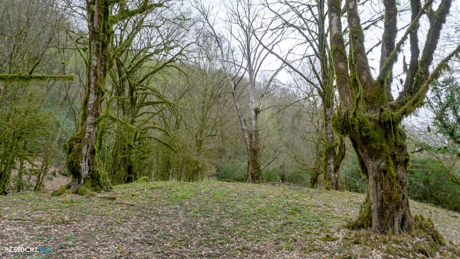 Райское наслаждение