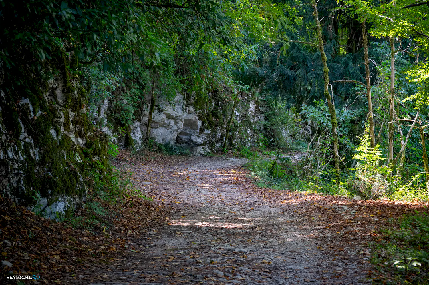 Белые скалы