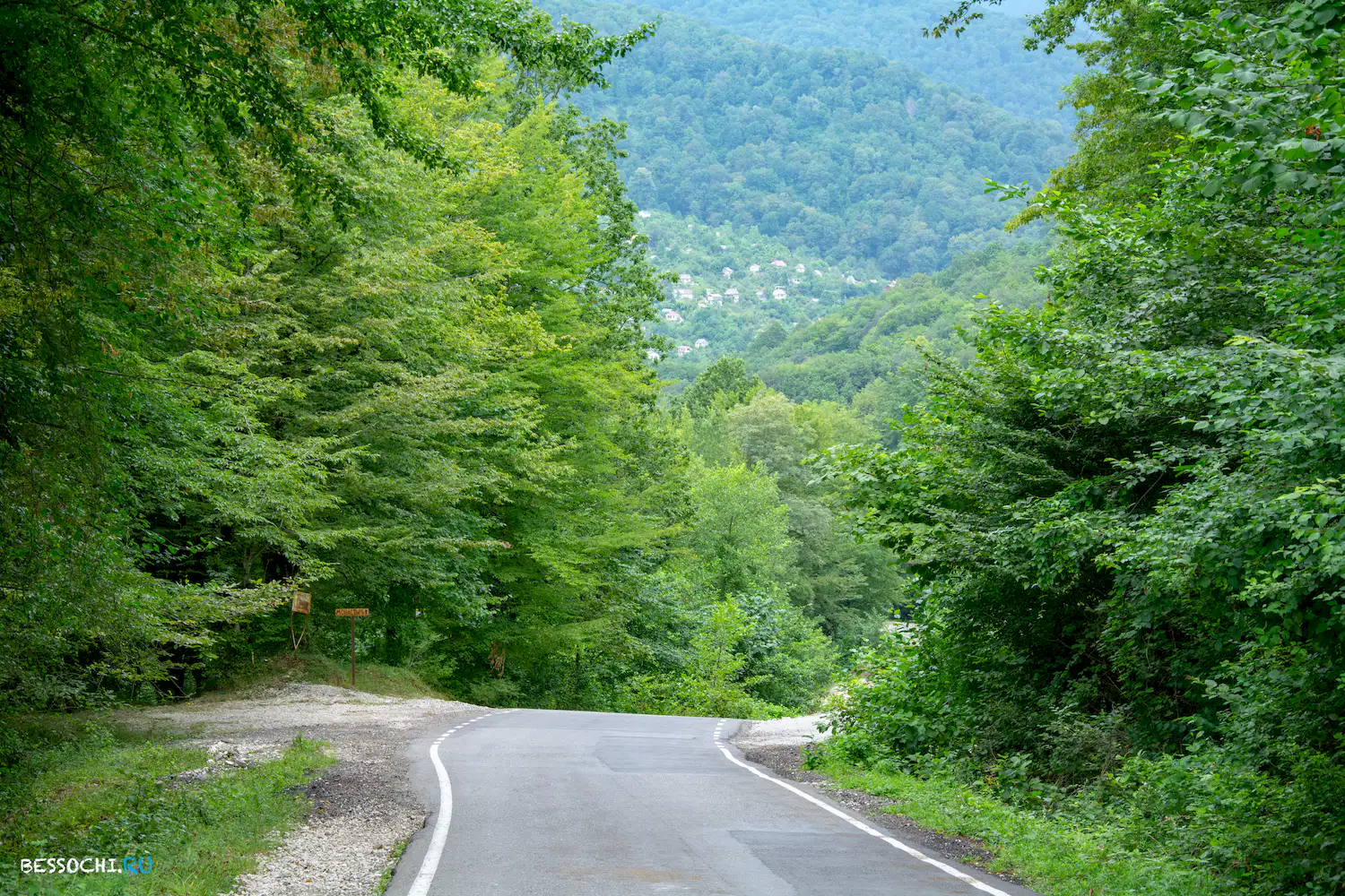 Лесное монастырь