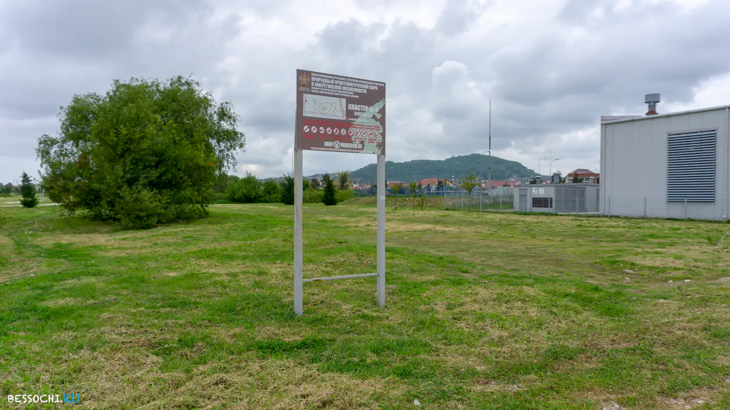 Велопоездка Олимпийский парк