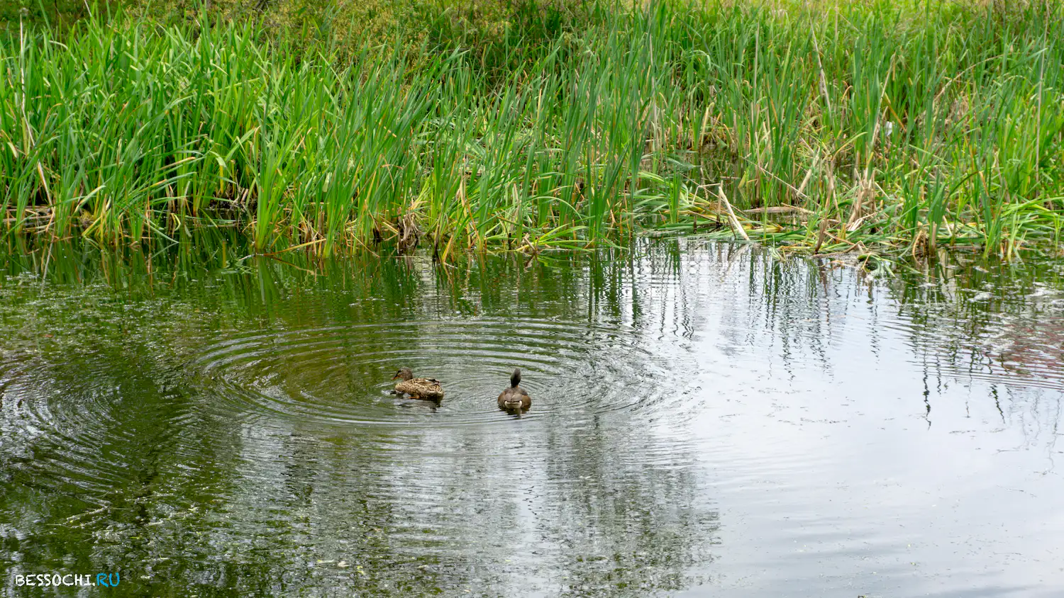 Велопоездка Олимпийский парк