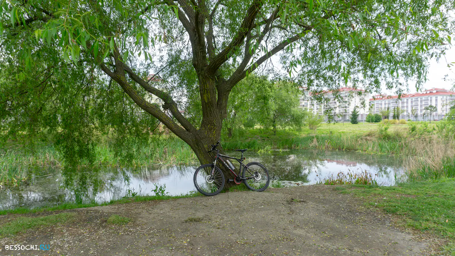 Велопоездка Олимпийский парк