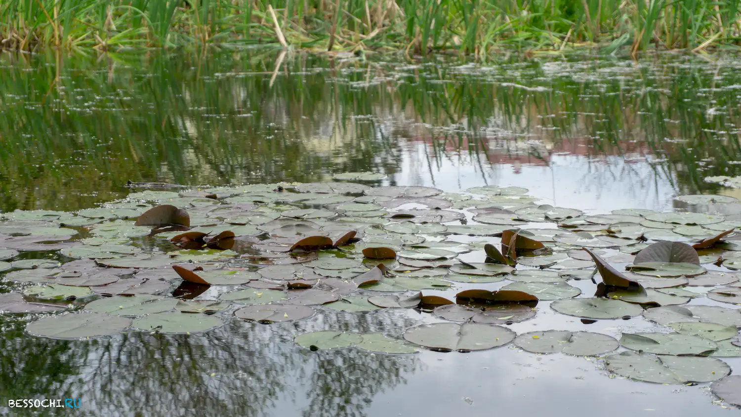Велопоездка Олимпийский парк
