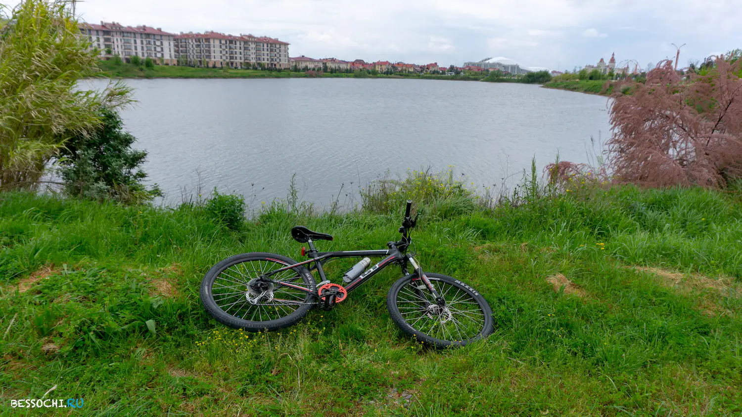 Велопоездка Олимпийский парк