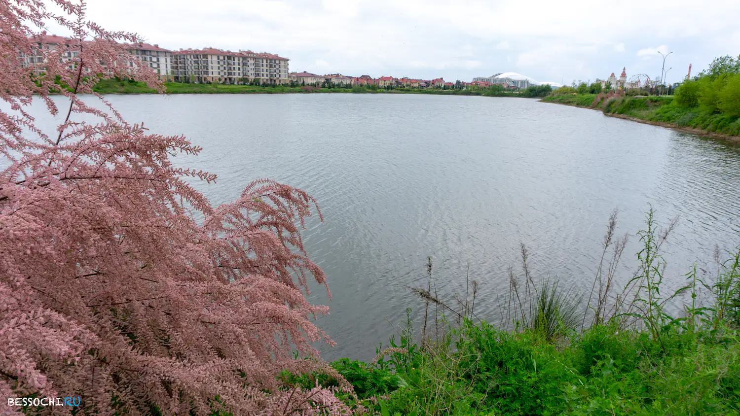 Велопоездка Олимпийский парк