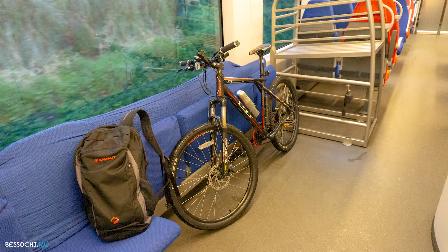 Велопоездка Олимпийский парк