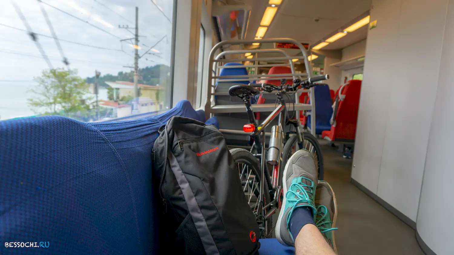 Велопоездка Олимпийский парк