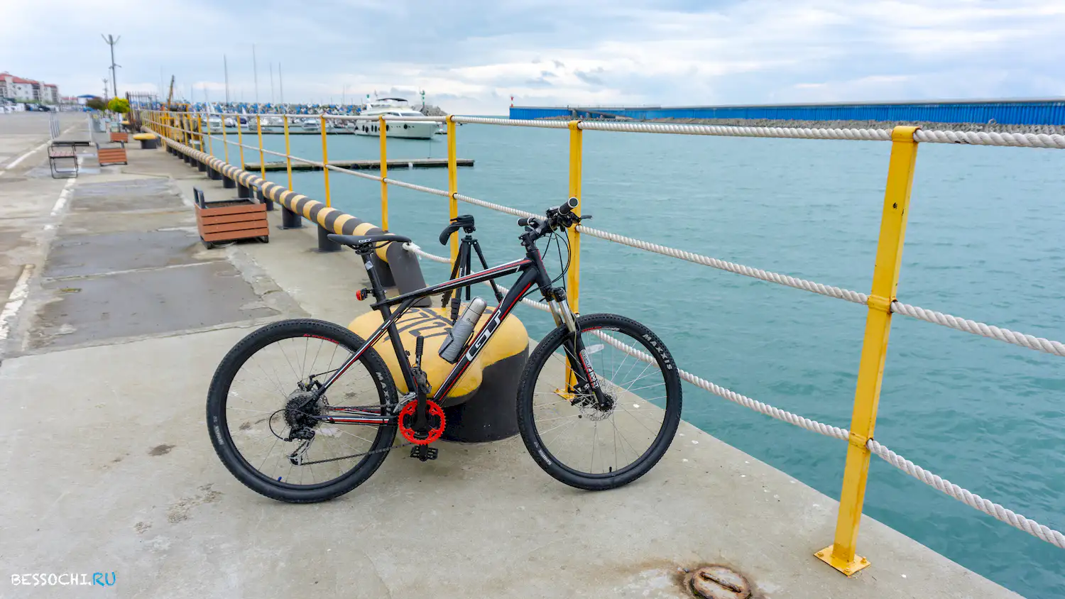 Велопоездка Олимпийский парк