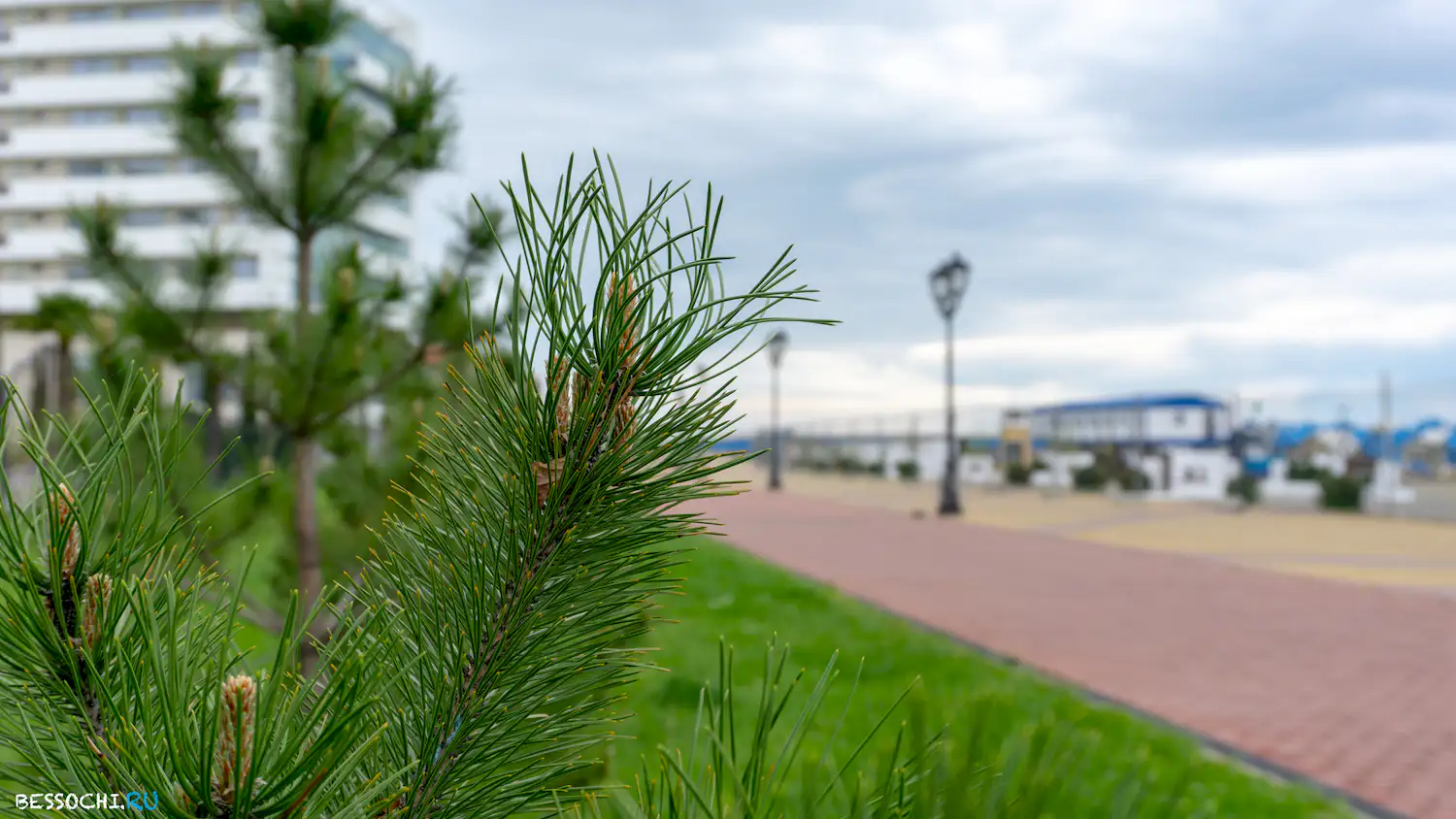 Велопоездка Олимпийский парк