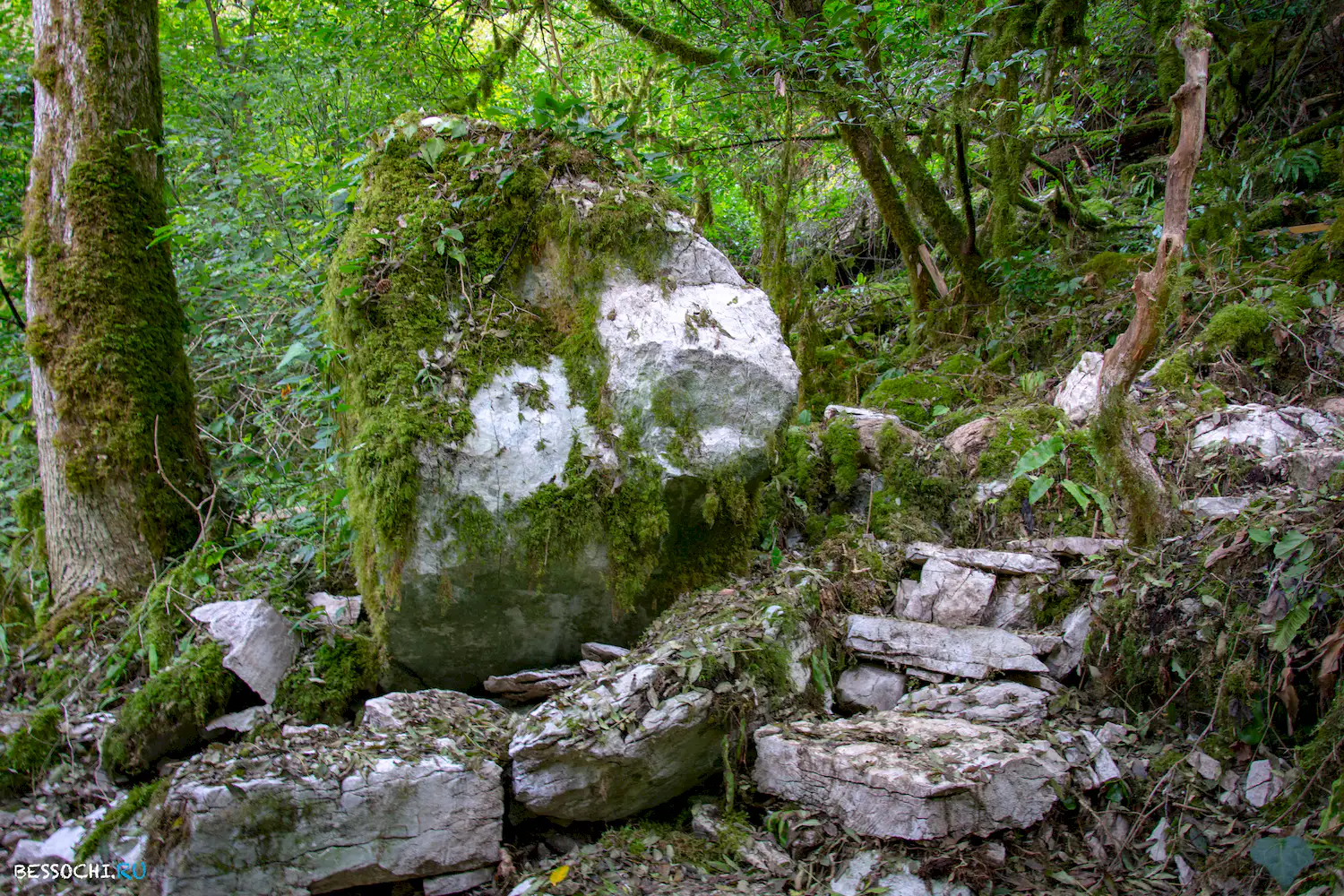 Белые скалы