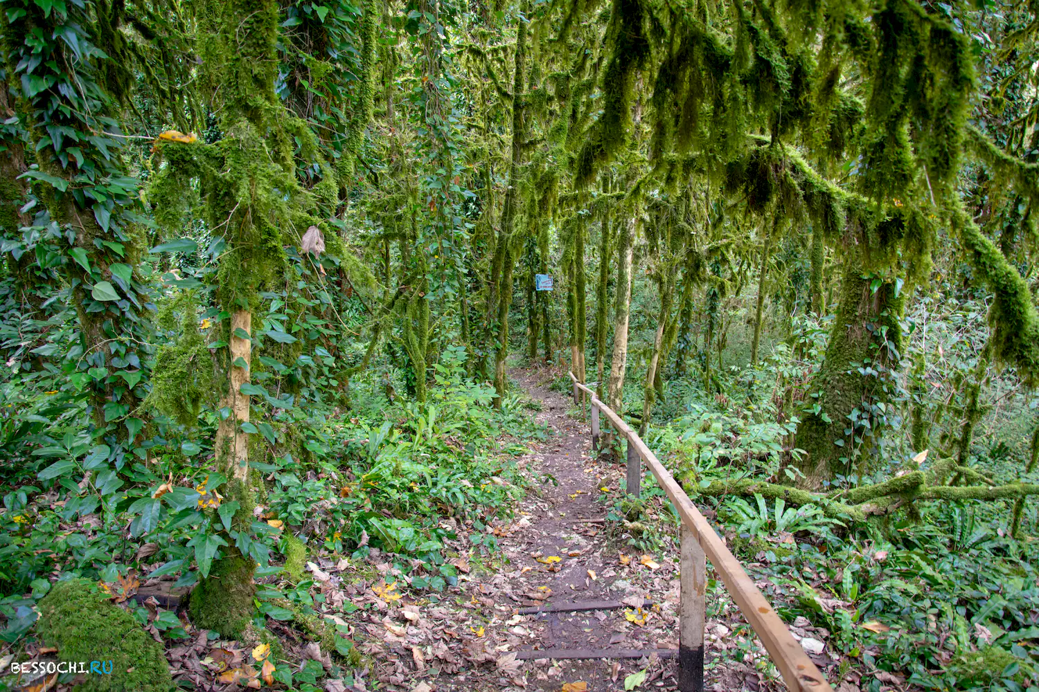 Белые скалы