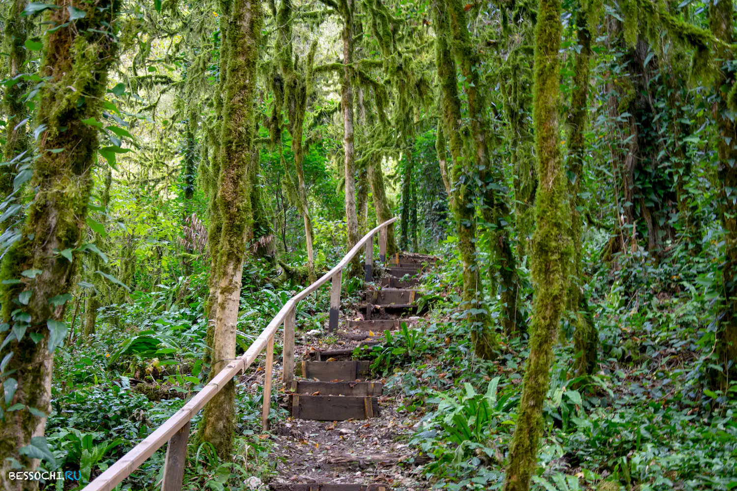 Белые скалы