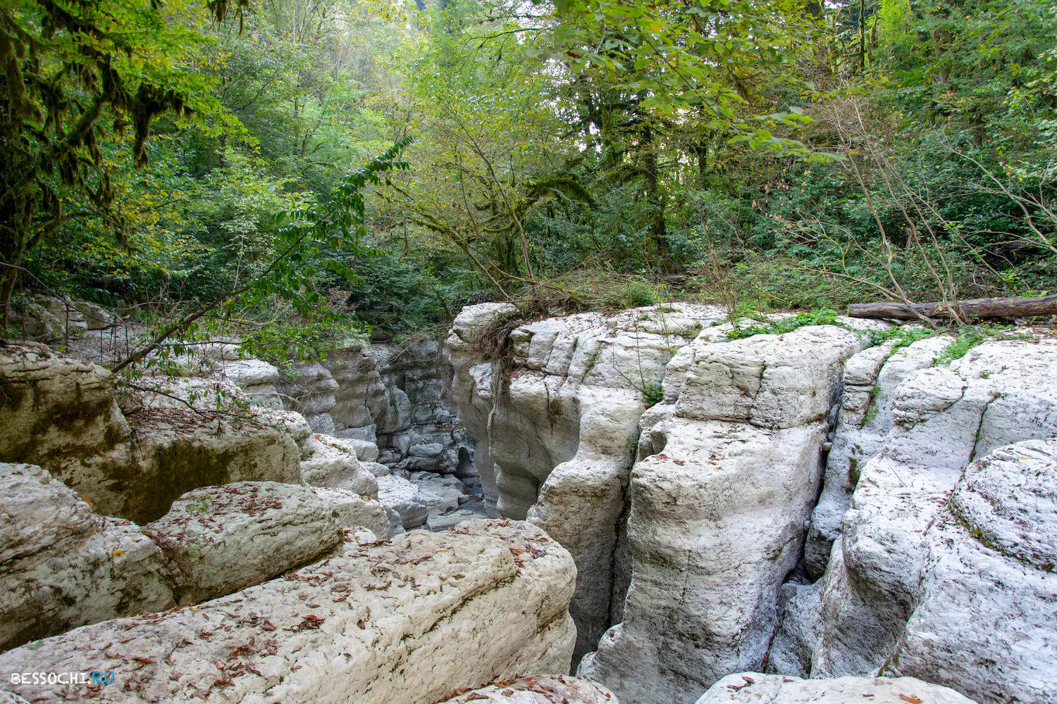 Навалишинский каньон