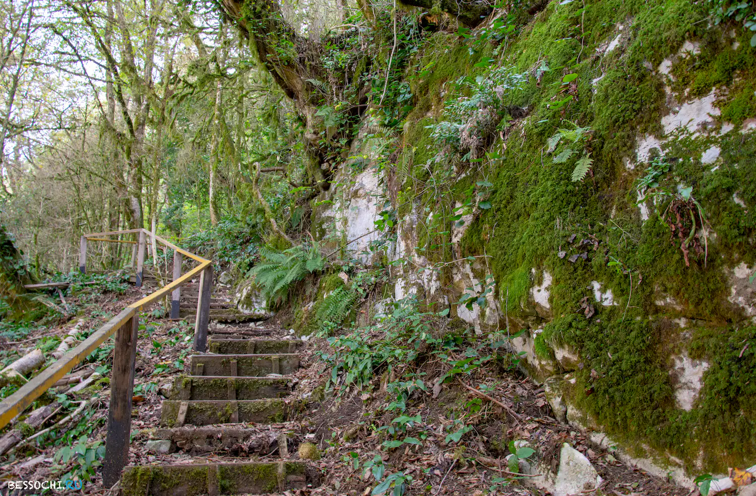 Белые скалы