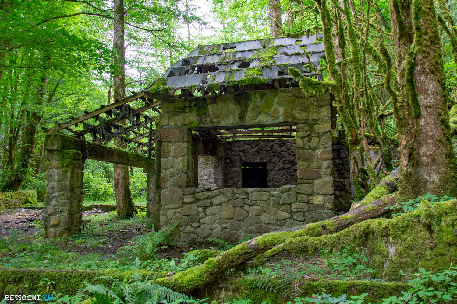 Пластунка ресторан