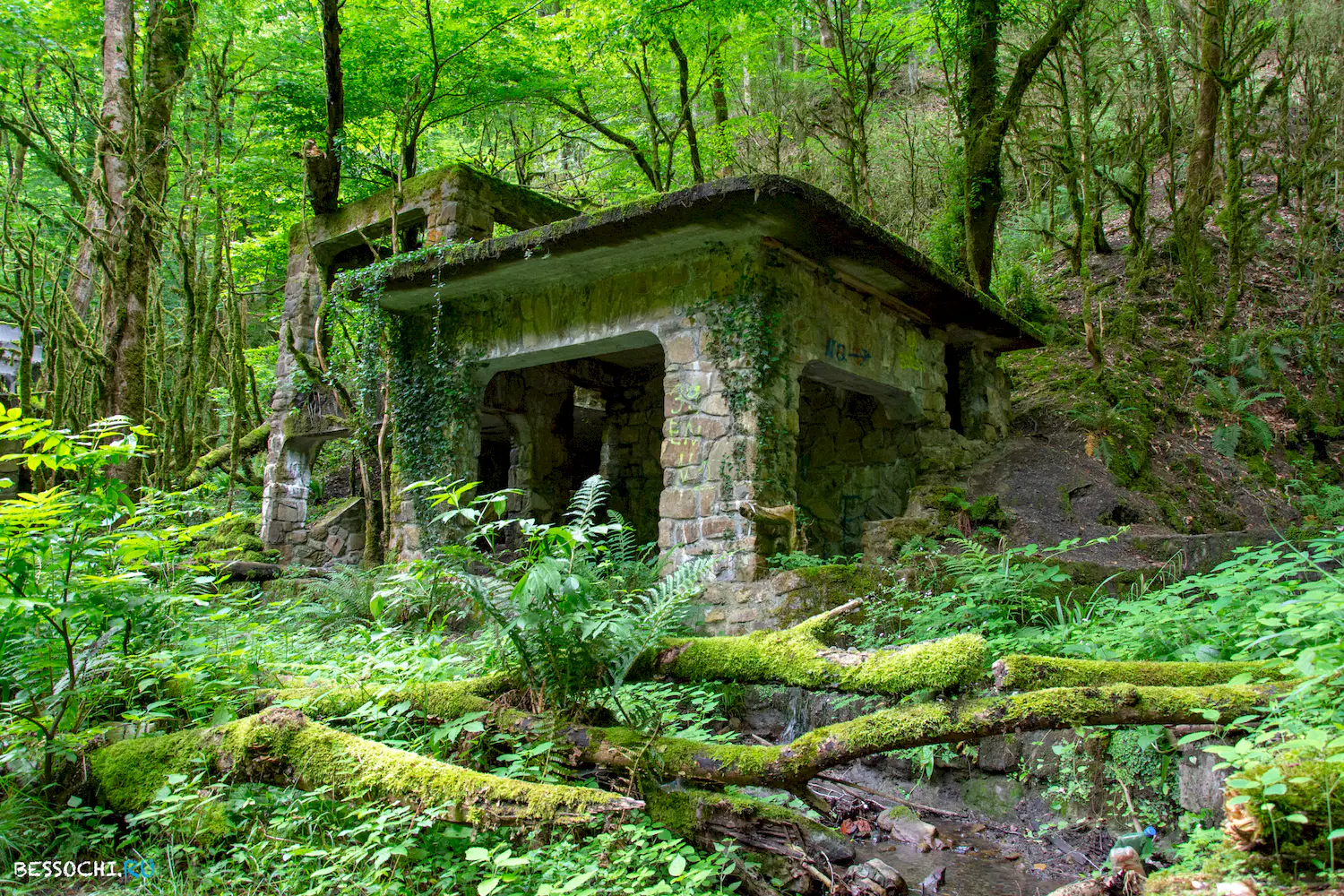 Пластунка ресторан