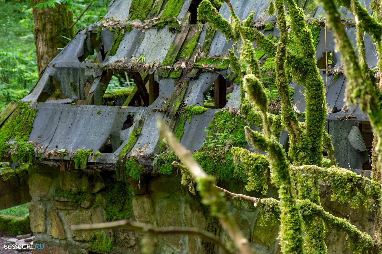 Пластунка ресторан