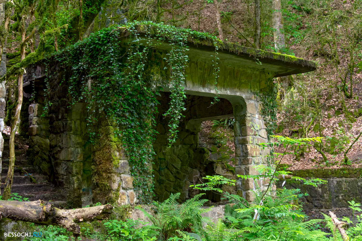 Пластунка ресторан