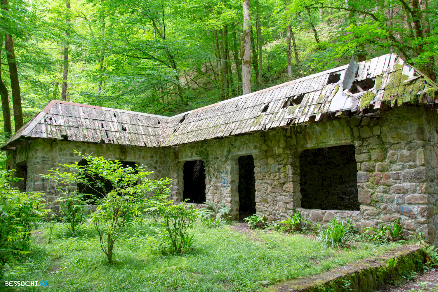 Пластунка ресторан