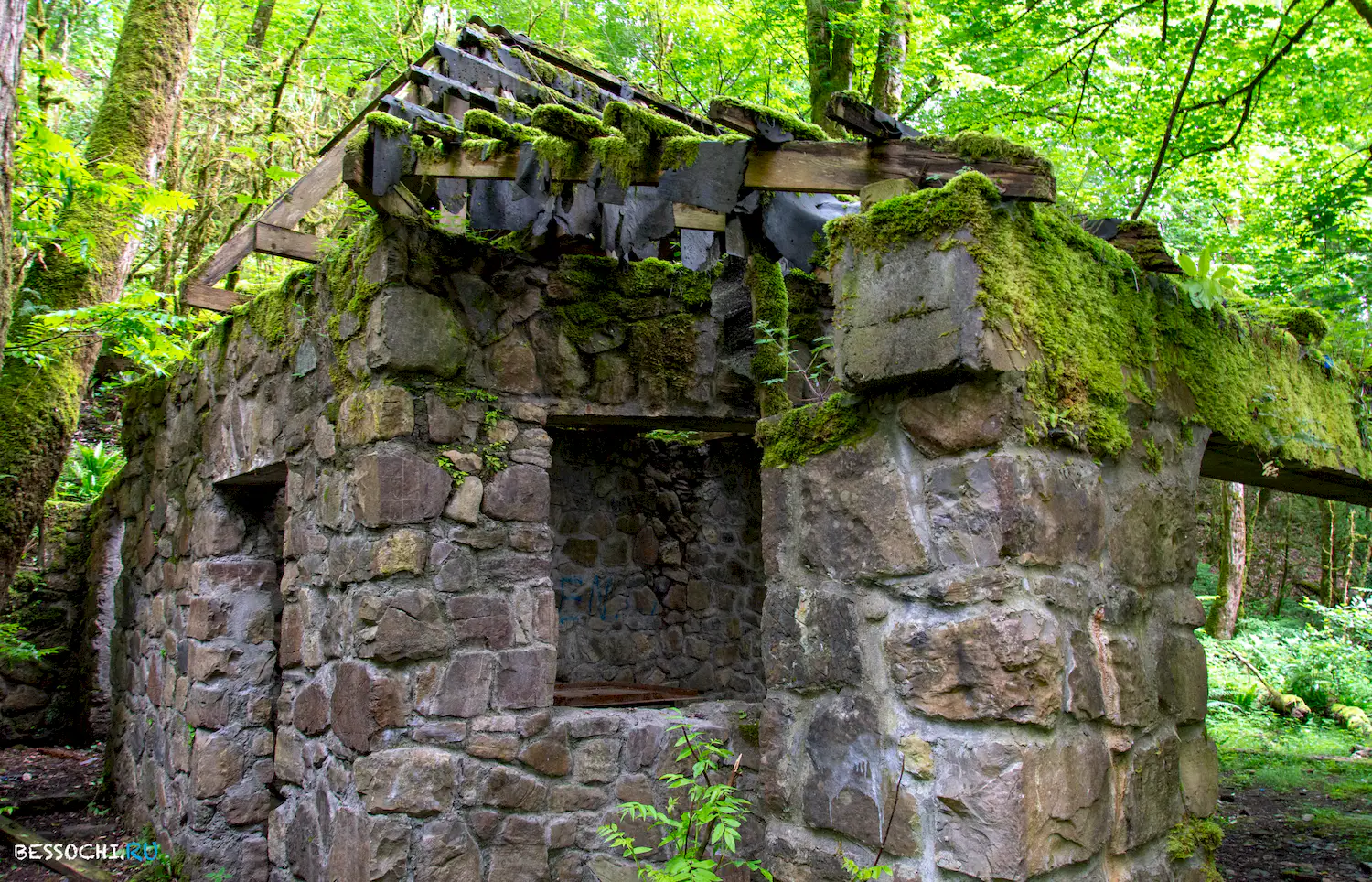 Пластунка ресторан