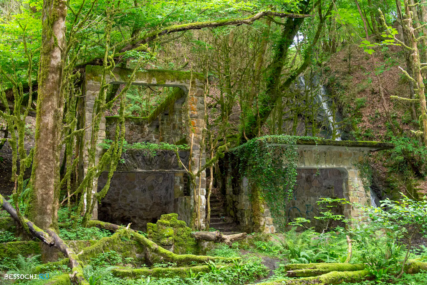 Пластунка ресторан