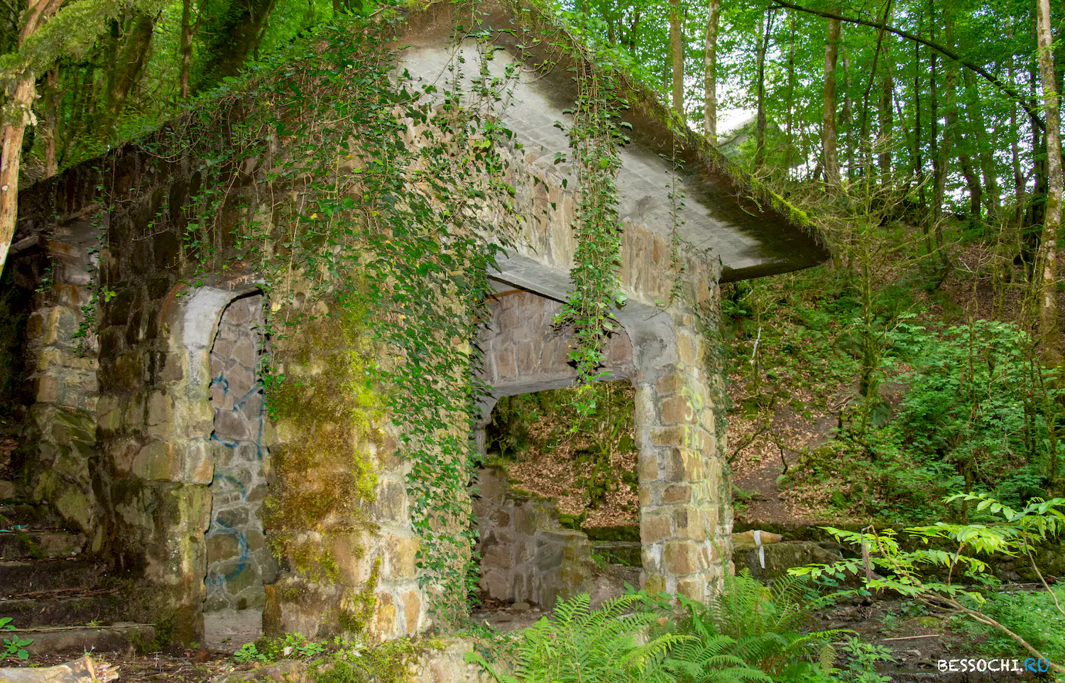 Пластунка ресторан