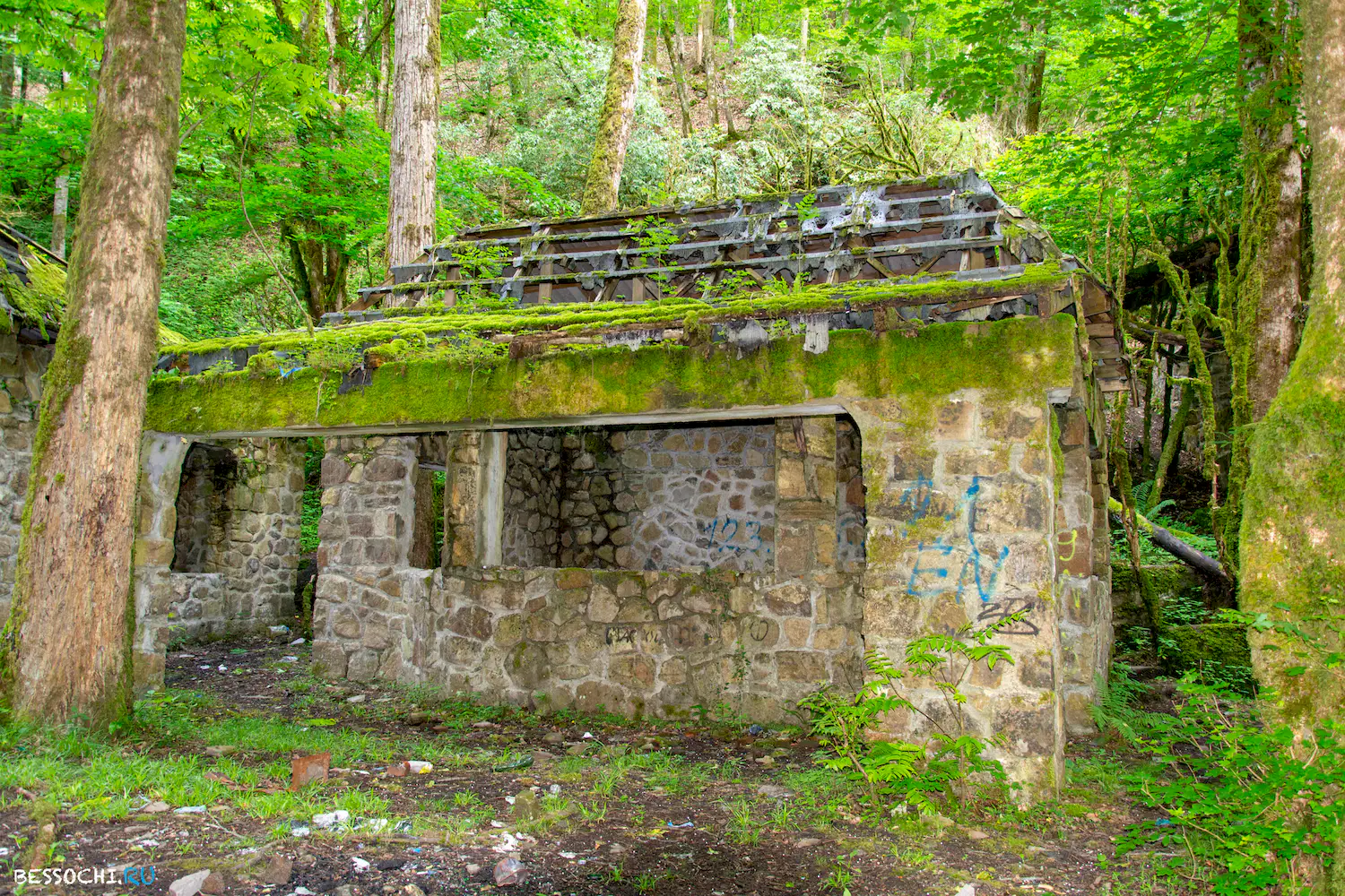 Пластунка ресторан