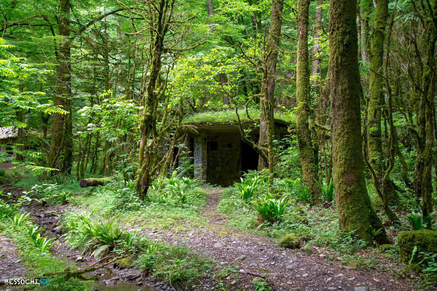 Пластунка ресторан