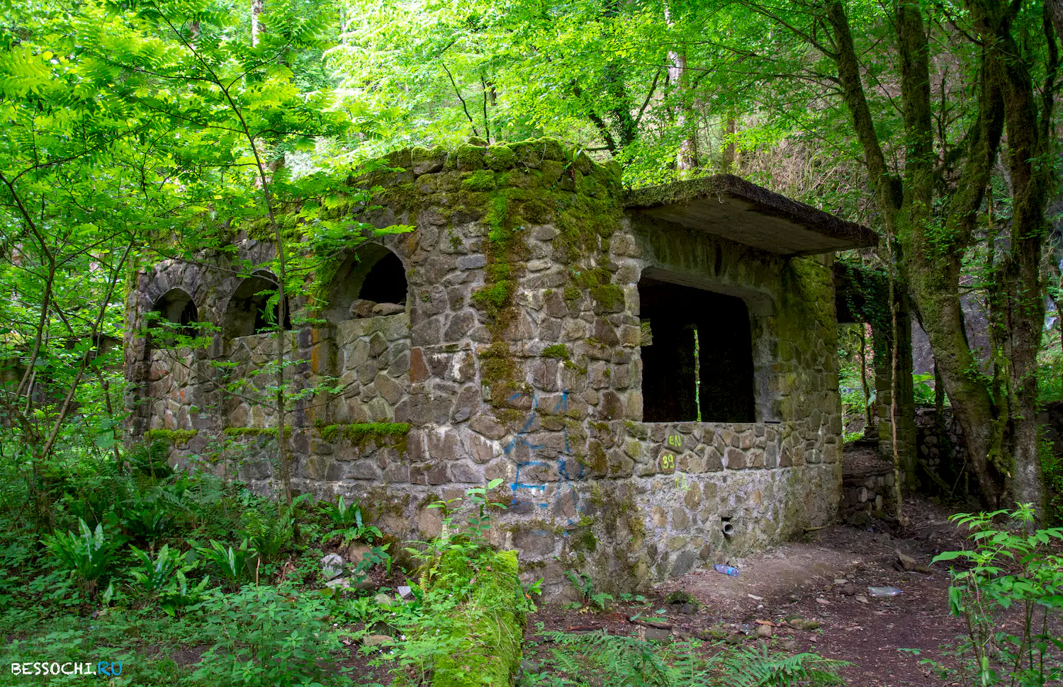 Пластунка ресторан