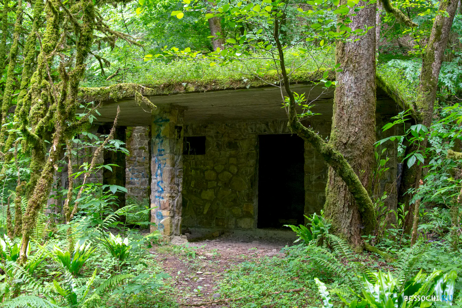 Пластунка ресторан