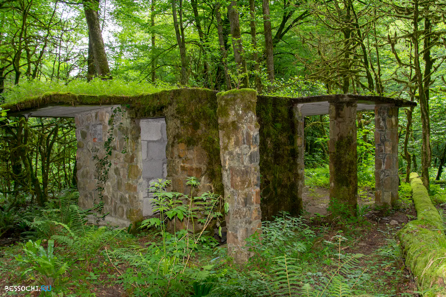 Пластунка ресторан