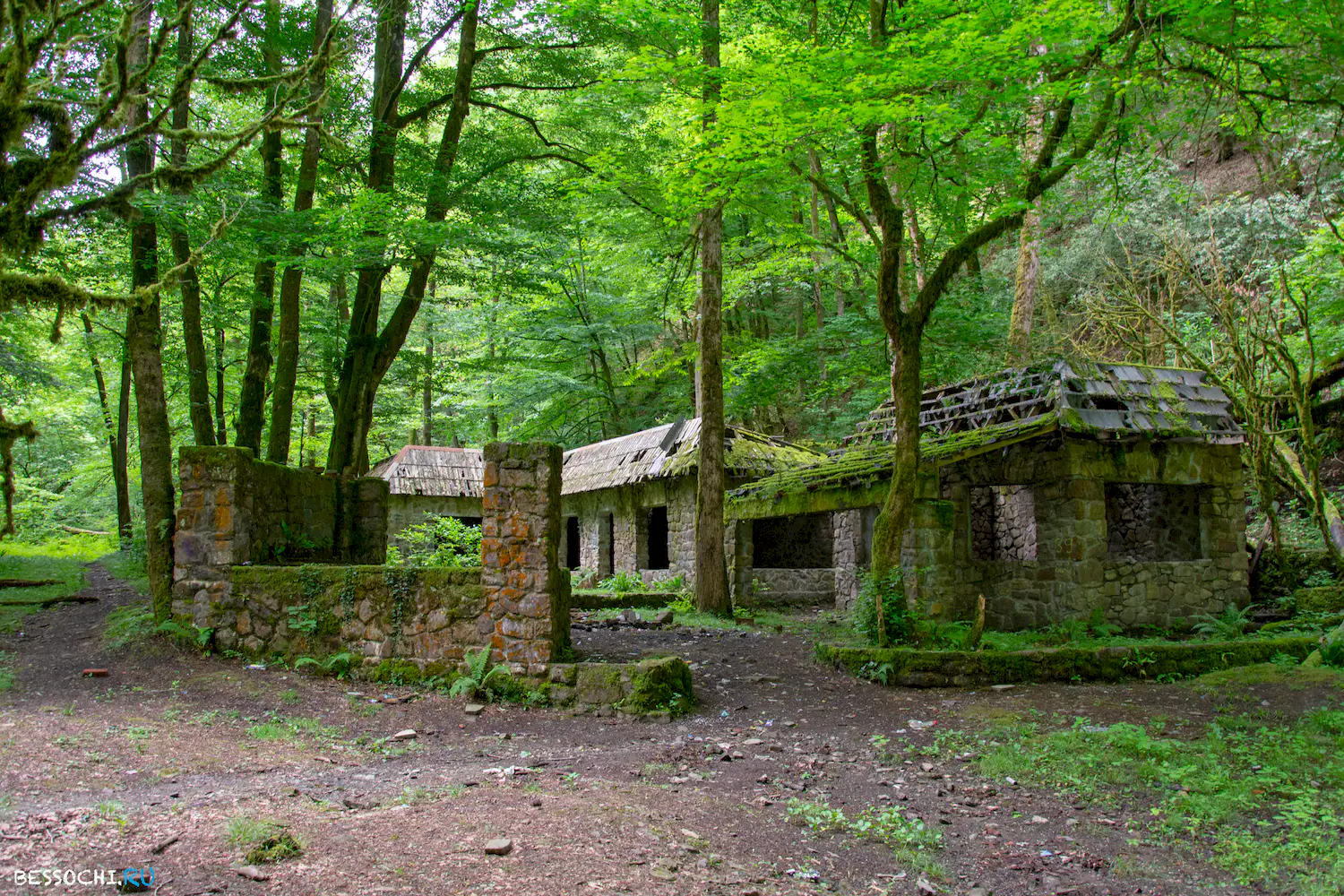 Пластунка ресторан