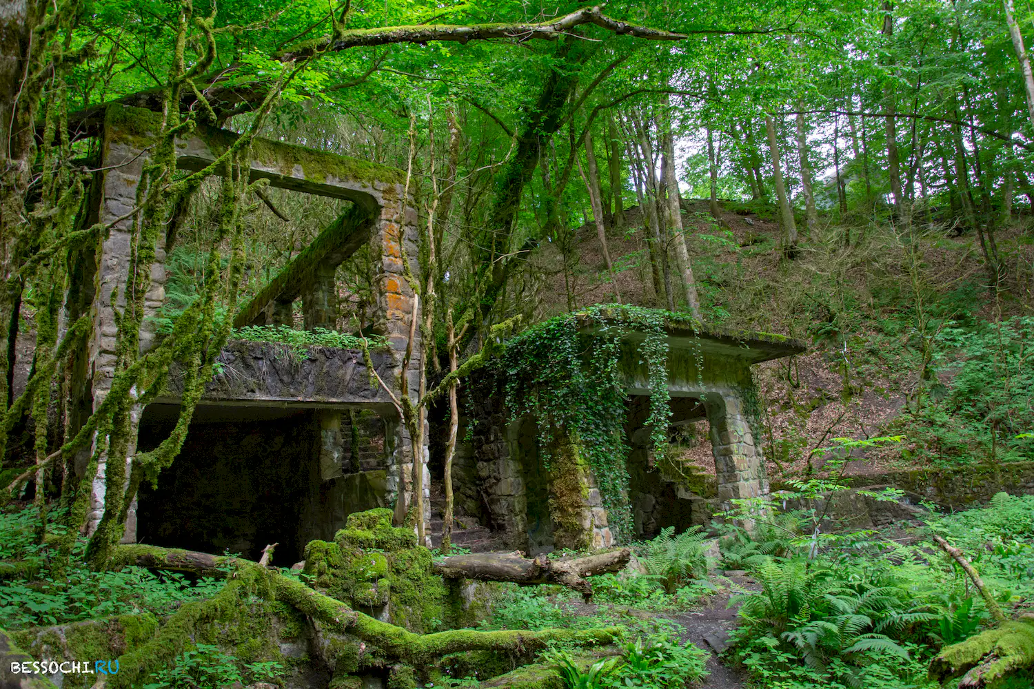 Пластунка ресторан