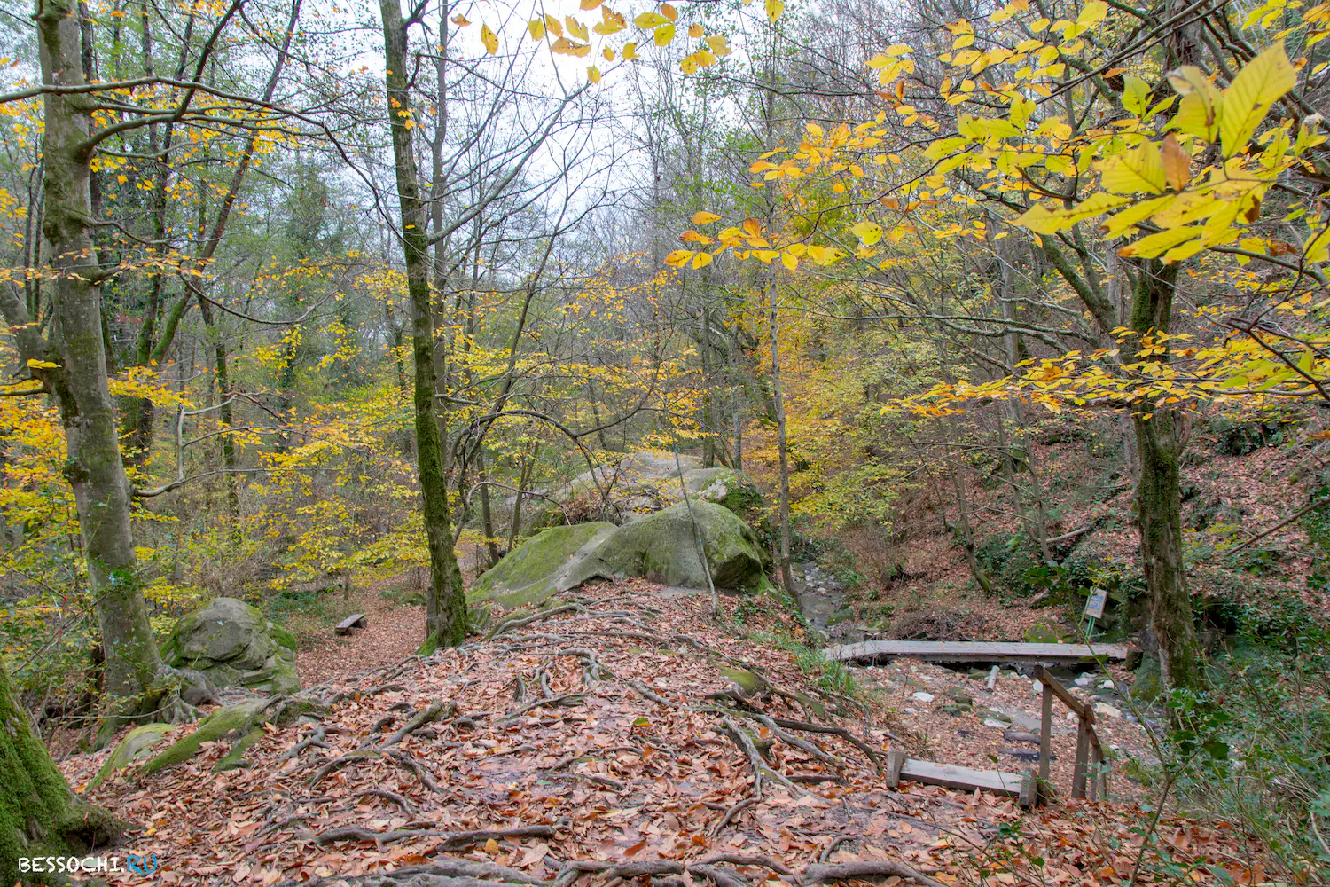 Волконский дольмен