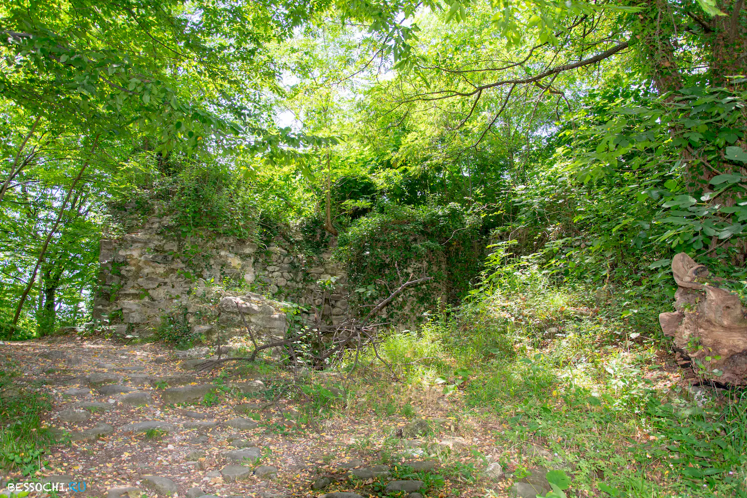 крепость Годлик