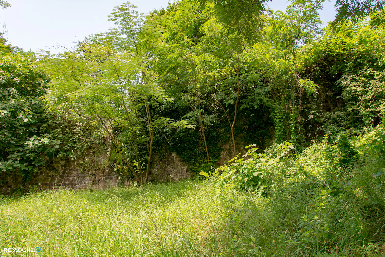 крепость Годлик