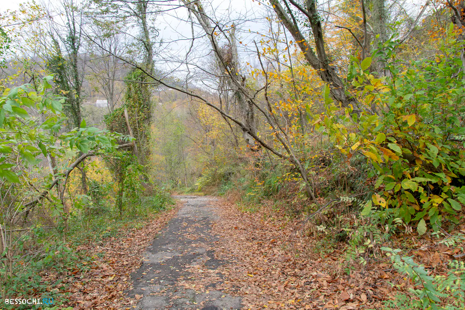 Волконский дольмен