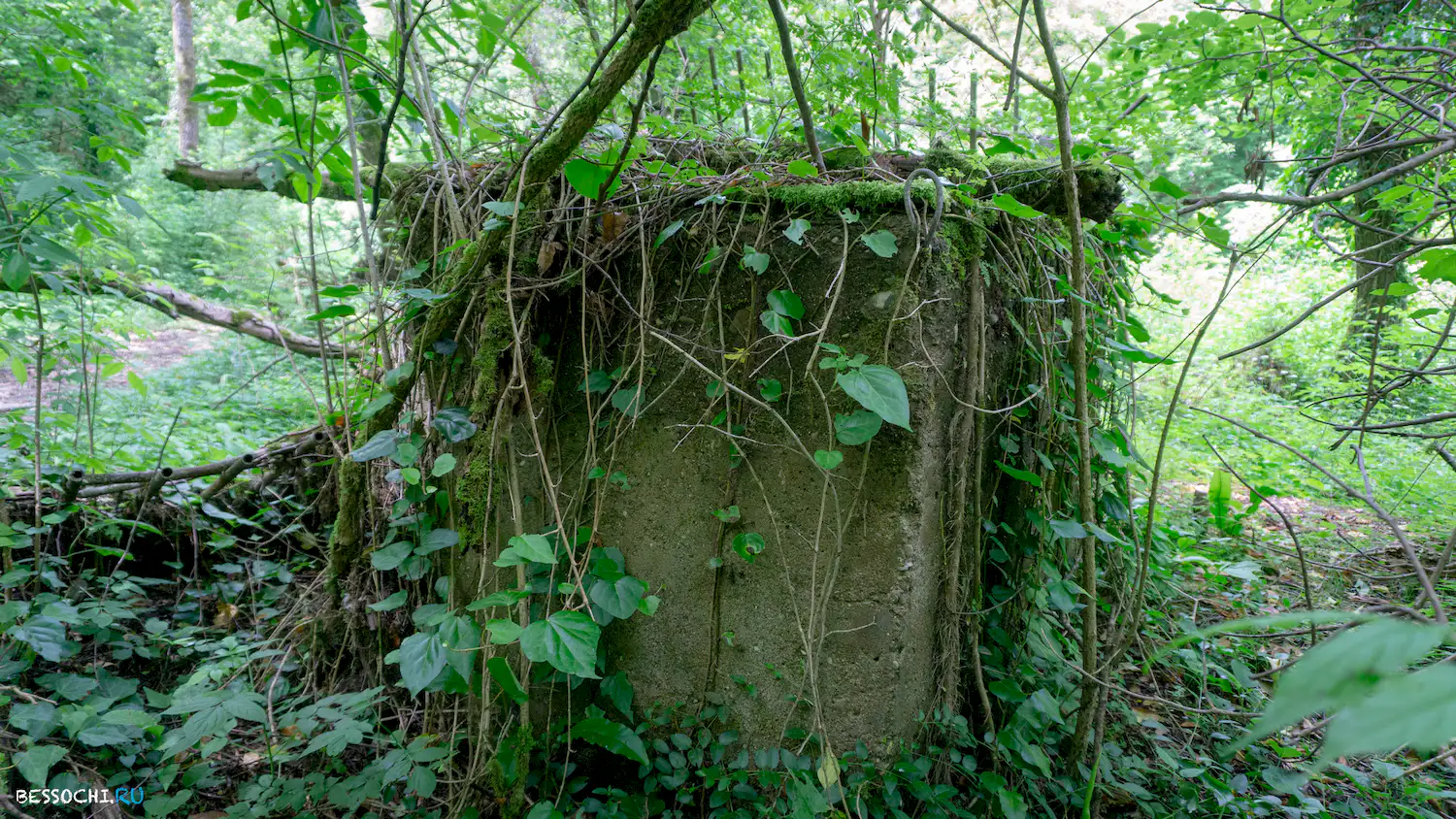 река Кудепста