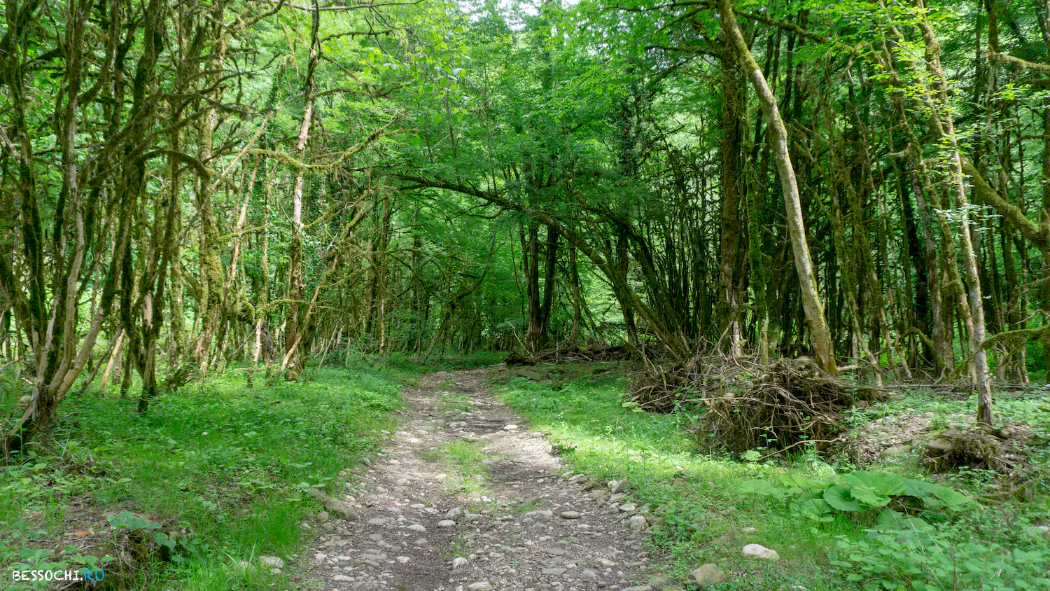 река Кудепста