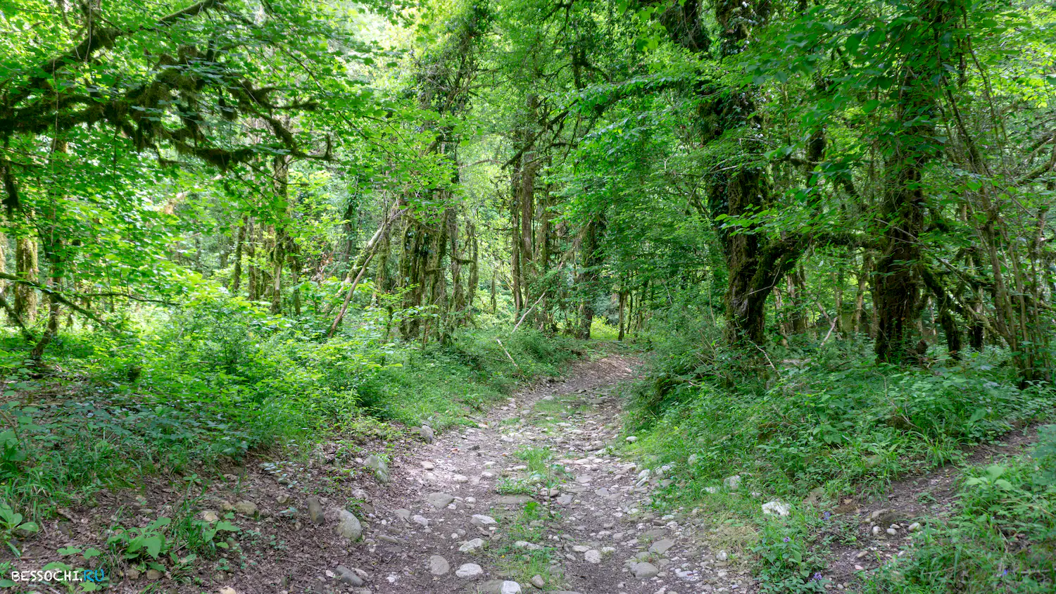 река Кудепста