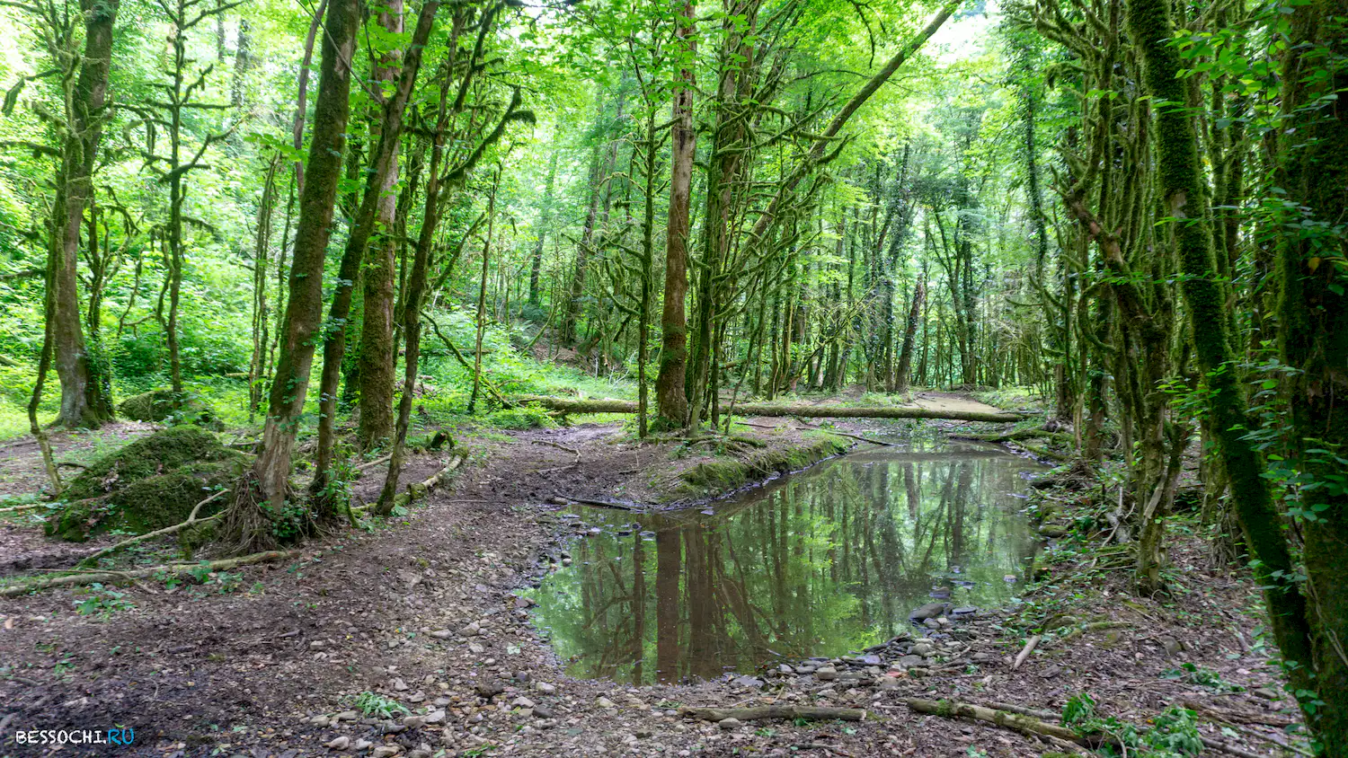 река Кудепста