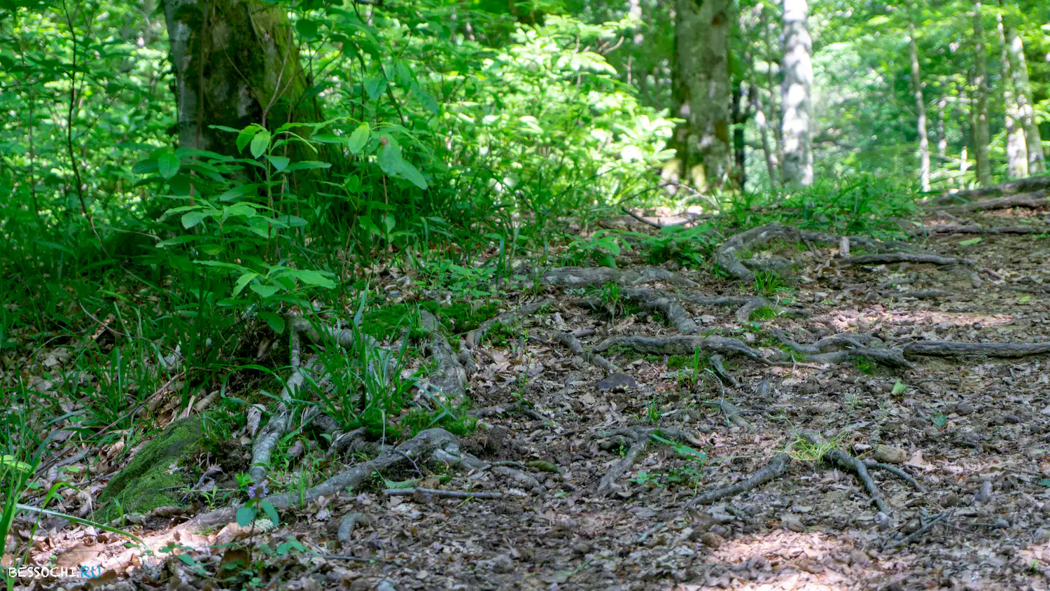 река Кудепста