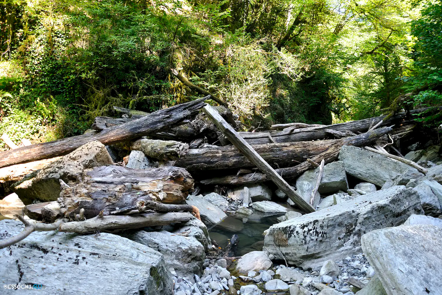 Самшитовый водопад