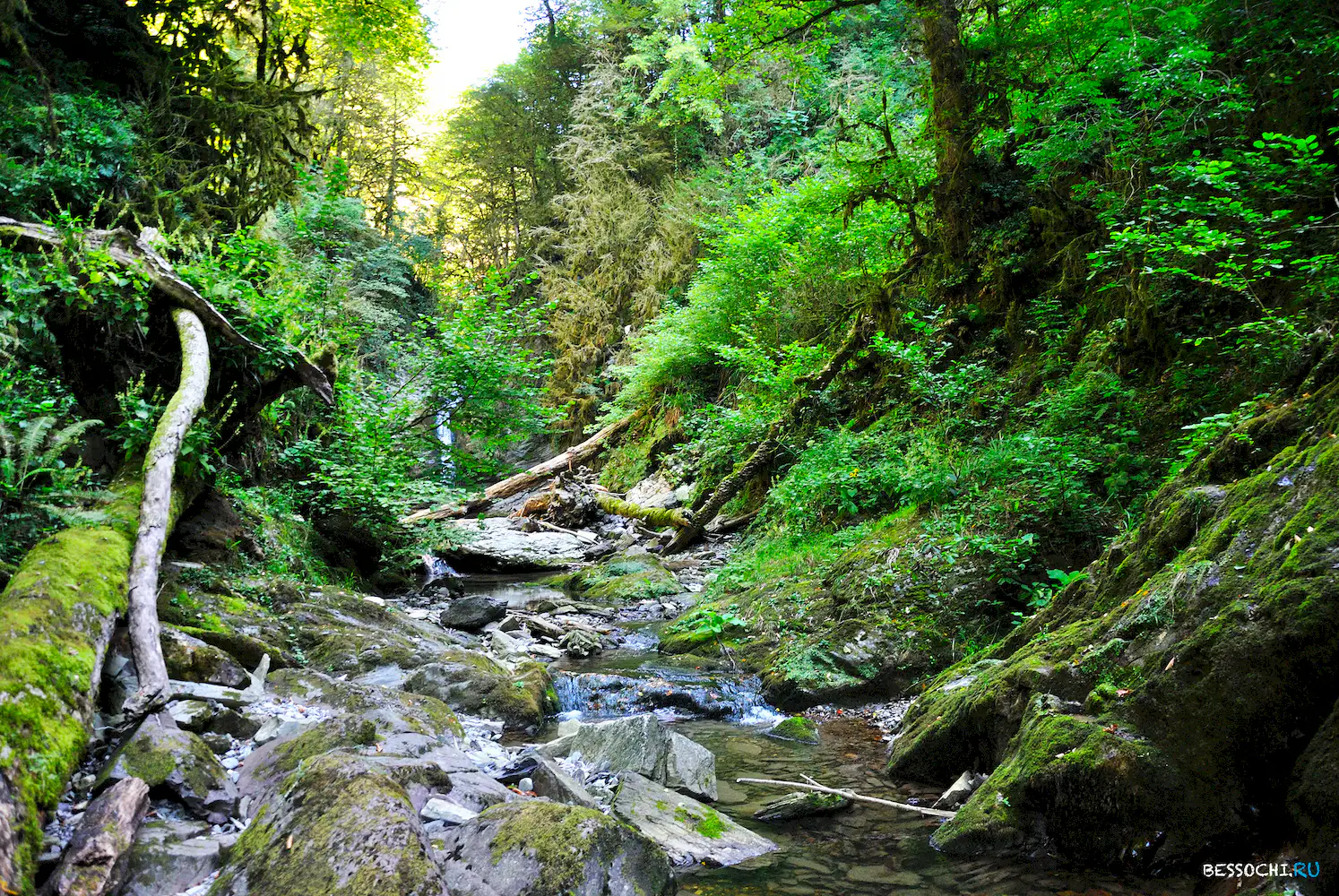 Самшитовый водопад