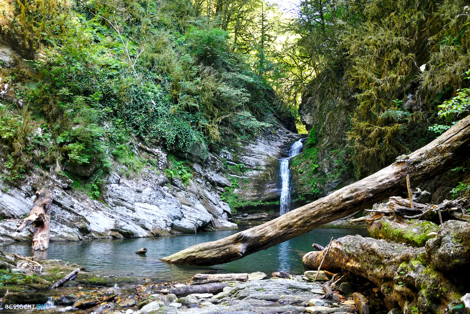 Самшитовый водопад
