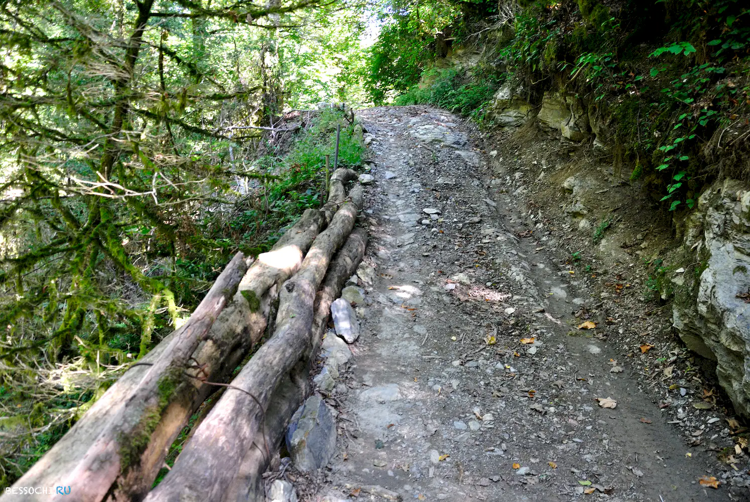 Самшитовый водопад