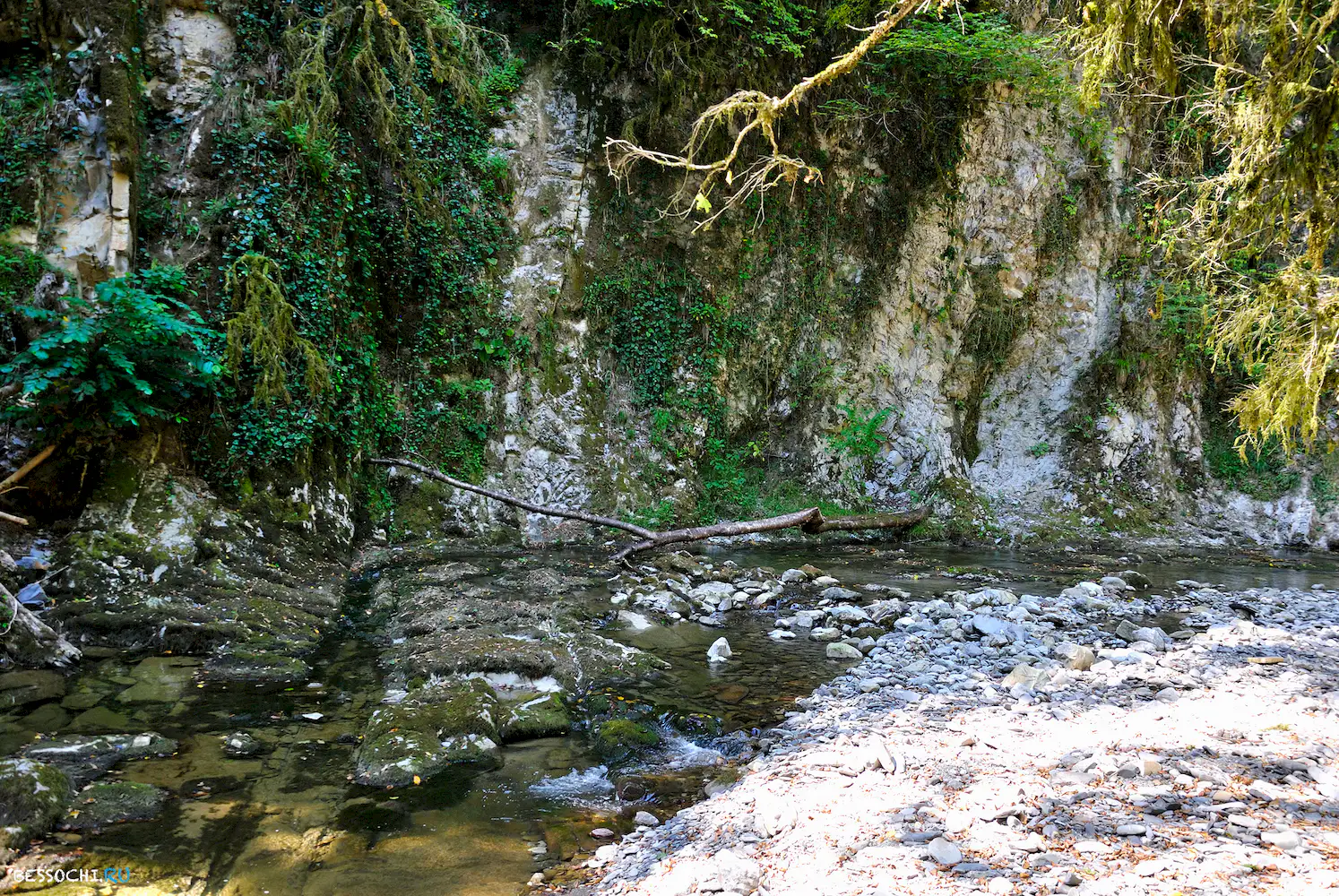 Самшитовый водопад
